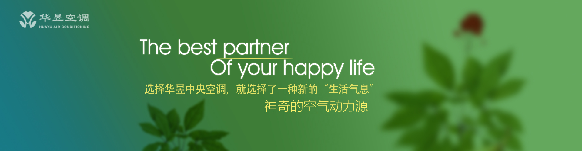 橙黄橘绿网